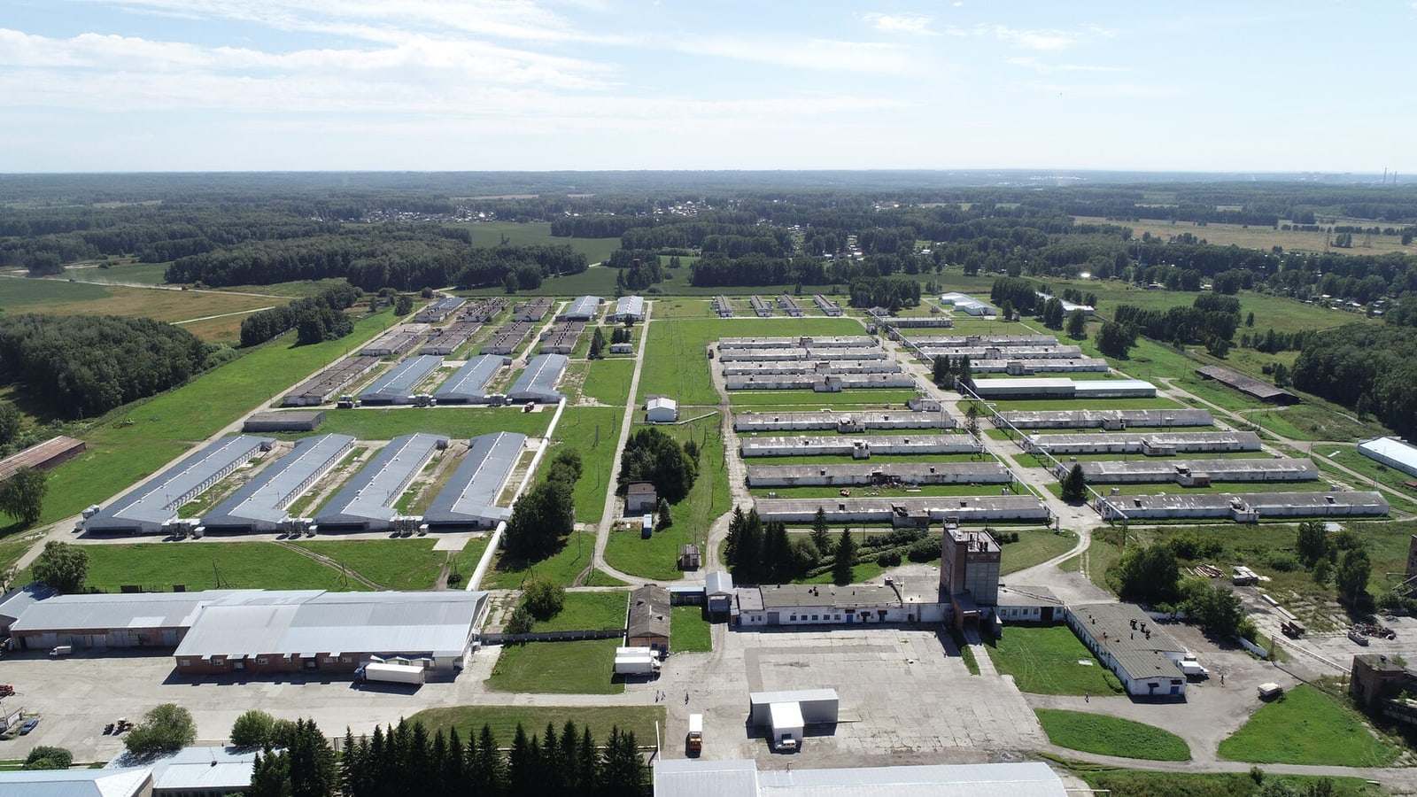 Птицефабрика «Октябрьская» с высоты: корпуса птичников и поля